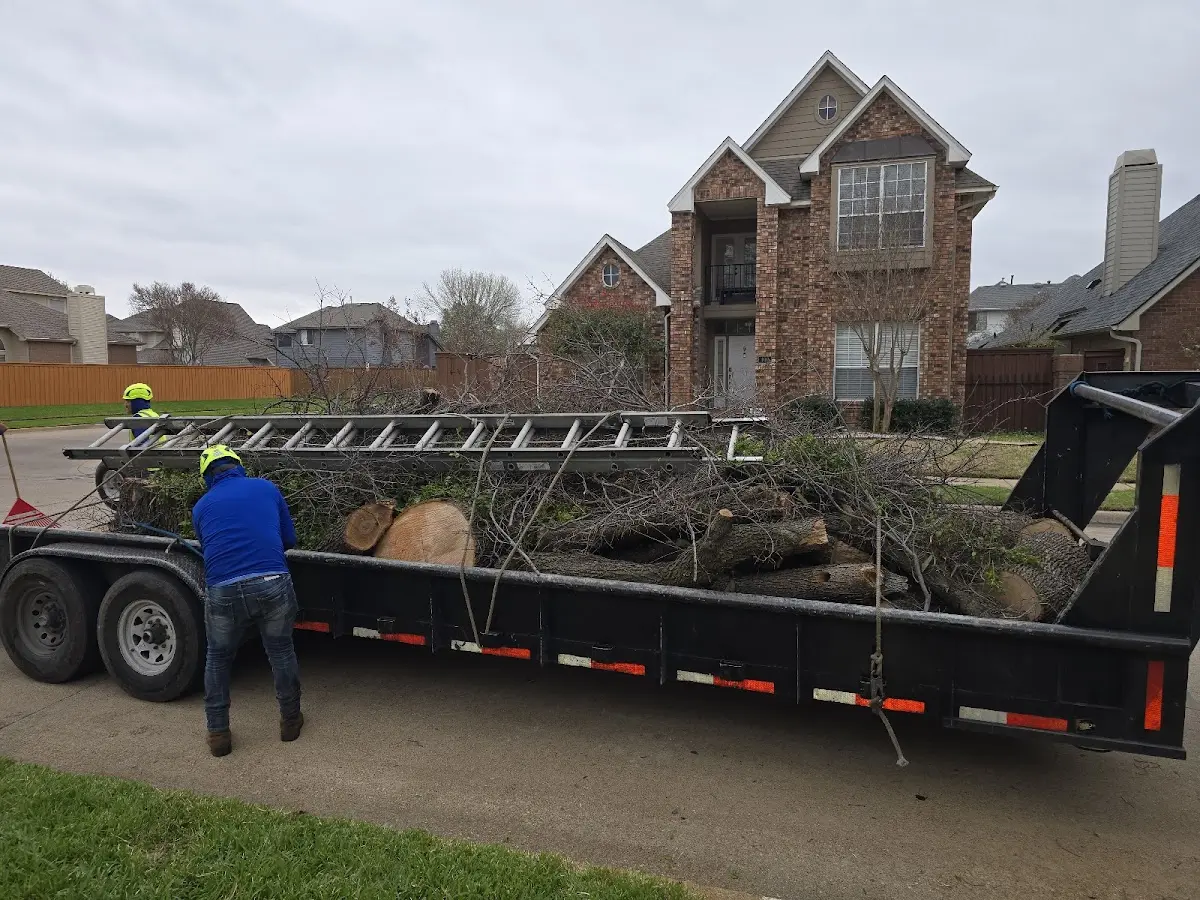 Expert Tree Removal with proper safety equipment in Castorland
